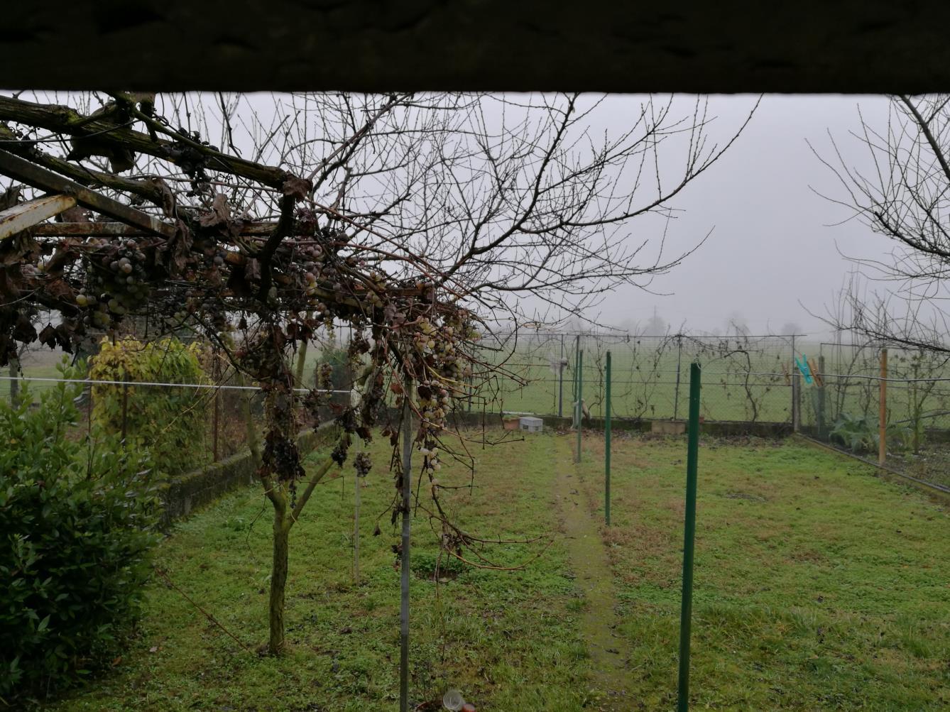 immobile appartamento all'asta in Via Olza Fogarole Cristo 112 - 29010 Monticelli d'Ongina (PC) - 2