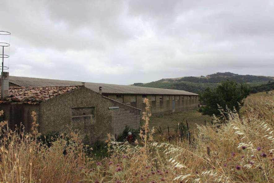 immobile terreno all'asta in Contrada Giacchino - 94010 Cerami (EN) - 5