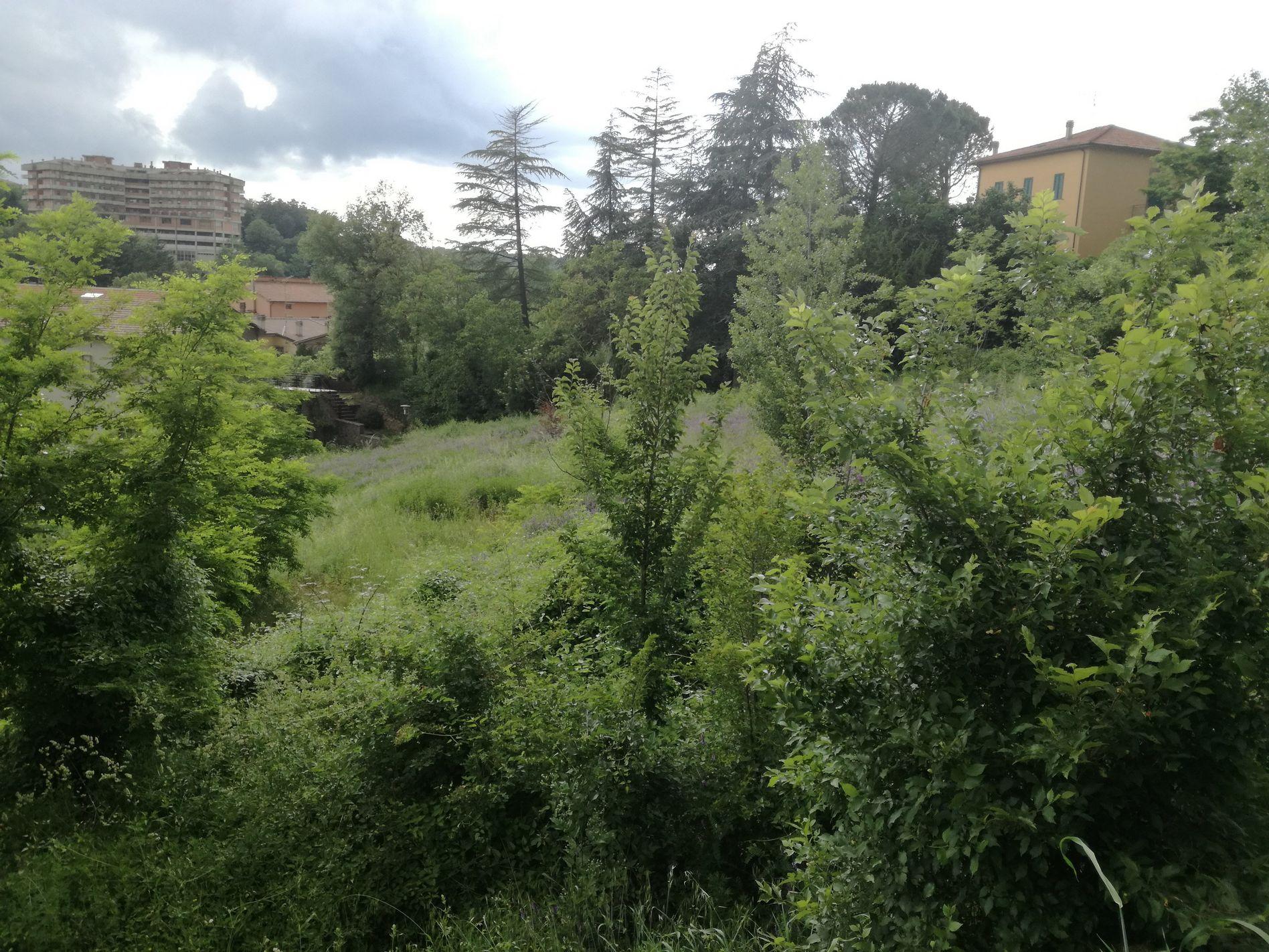 immobile terreno all'asta in Località Canali - 58031 Arcidosso (GR) - 1