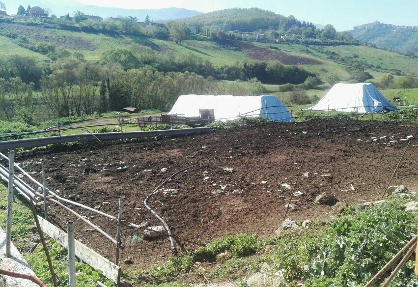 immobile attivita commerciale all'asta in Via Consolare Latina, 68 Segni (RM) - 1