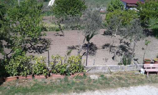 immobile APPARTAMENTO ALL'ASTA IN VIA FERRARA, LOC TORREPALAZZO, TORRECUSO (BN) - 1