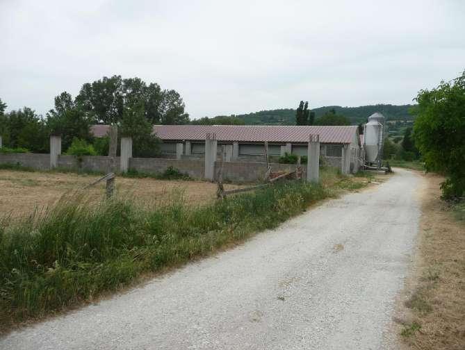 immobile attivita commerciale all'asta in Loc San Lazzaro - Casa Ribacchi - 06023 Gualdo Tadino (PG) - 1
