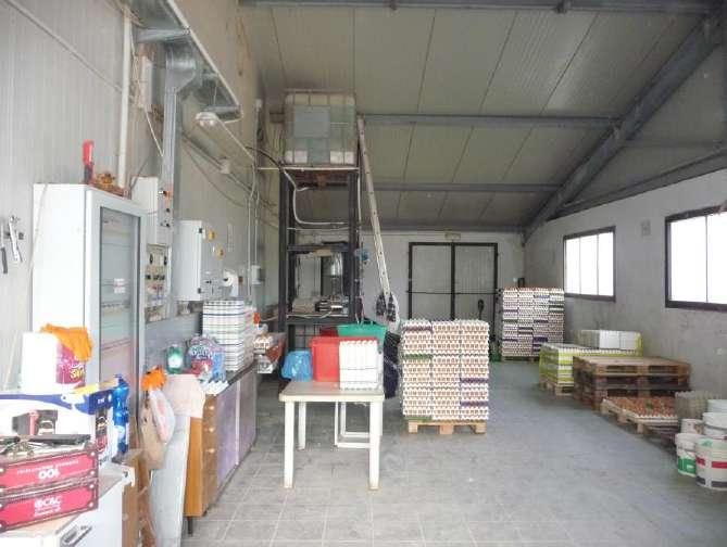 immobile attivita commerciale all'asta in Loc San Lazzaro - Casa Ribacchi - 06023 Gualdo Tadino (PG) - 5