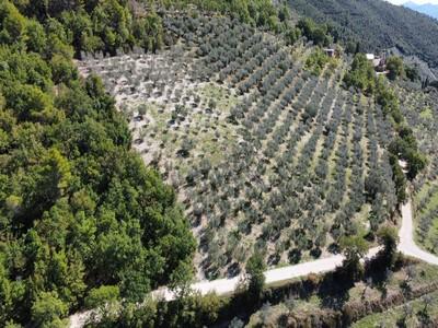 immobile terreno all'asta in Loc Bovara - 06039 Trevi (PG) - 1