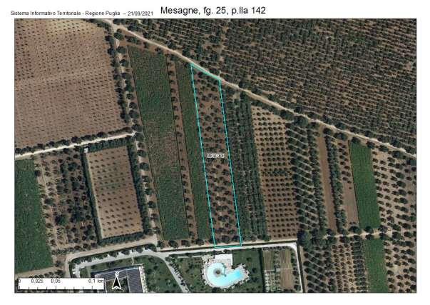 immobile terreno all'asta in Contrada Moreno snc - 72023 Mesagne (BR) - 1