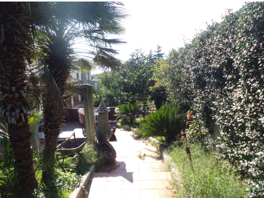 immobile appartamento all'asta in Contrada Cavone n 56 - 03040 Ausonia (FR) - 1
