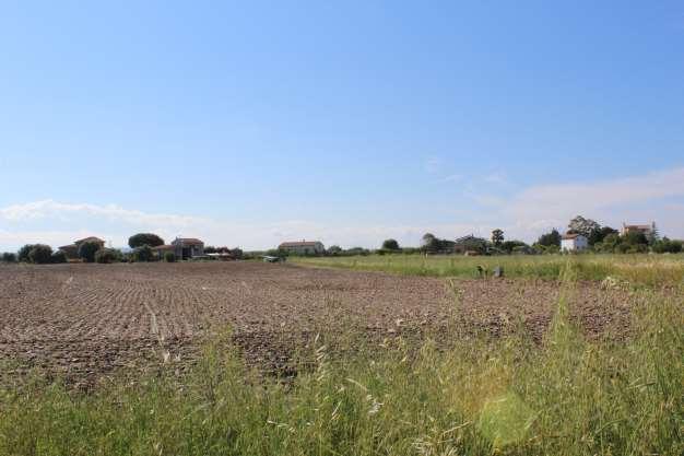 immobile terreno all'asta in contrada Centro Agricolo Pisticci (MT) - 1