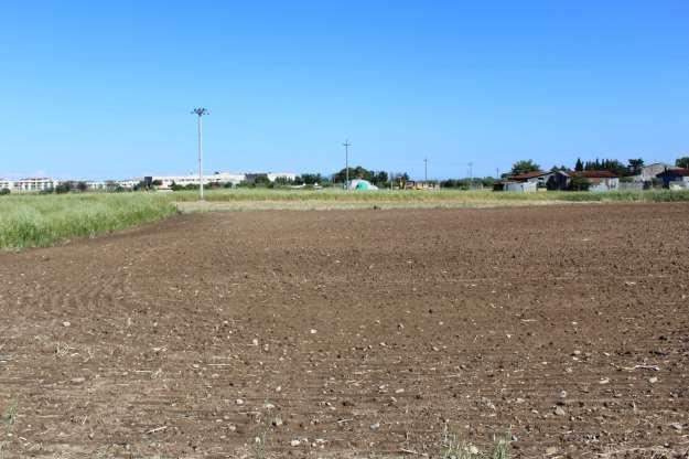 immobile terreno all'asta in contrada Centro Agricolo Pisticci (MT) - 2