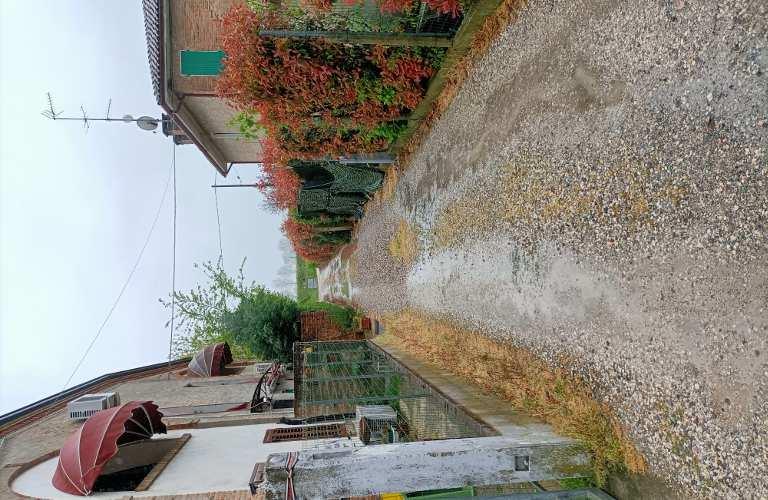immobile appartamento all'asta in Cocomaro di Focomorto, Via della Ginestra - 44100 Ferrara (FE) - 4