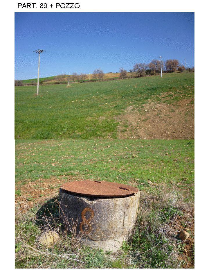 immobile terreno all'asta in Loc Colle di Lupo, Pod S Agostino - 58051 Magliano in Toscana (GR) - 2