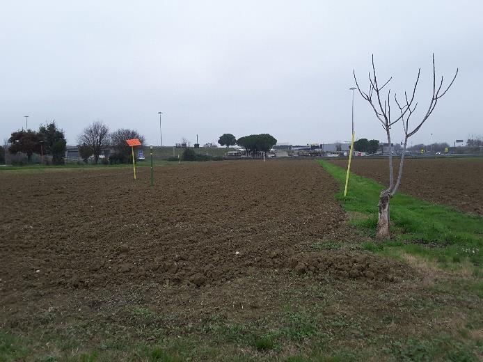 immobile terreno all'asta in Località Pievesestina, Via Salvo D'Acquisto - 47023 Cesena (FC) - 3