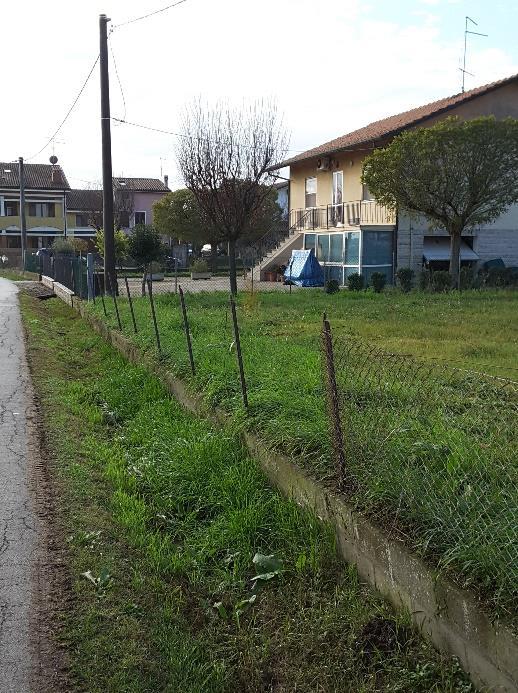 immobile terreno all'asta in Località Pievesestina, Via Rino Bagnoli - 47023 Cesena (FC) - 4