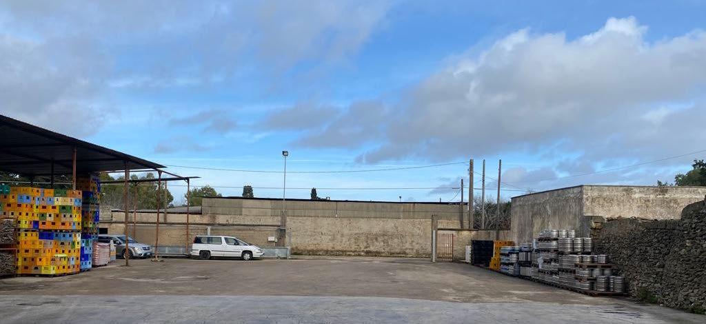 immobile magazzino all'asta in via vicinale per Lucugnano snc - 73039 Tricase (LE) - 5