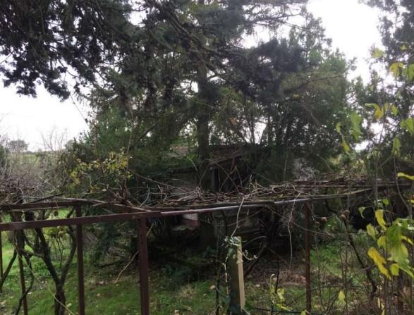 immobile magazzino all'asta in Via Colle Fiorito n 34-36 - 00069 Trevignano Romano (RM) - 4
