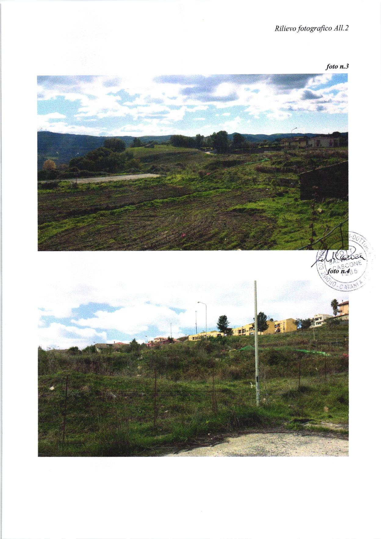 immobile terreno all'asta in contrada Scifo - 95049 Vizzini (CT) - 2