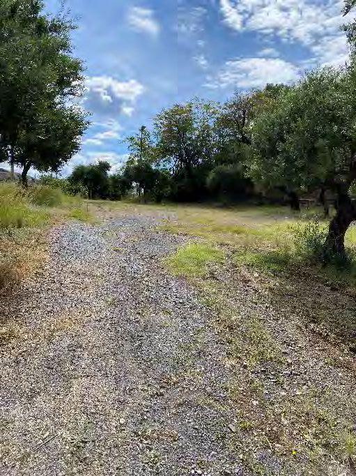 immobile terreno all'asta in Località Fiuzzi - 87028 Praia a Mare (CS) - 1