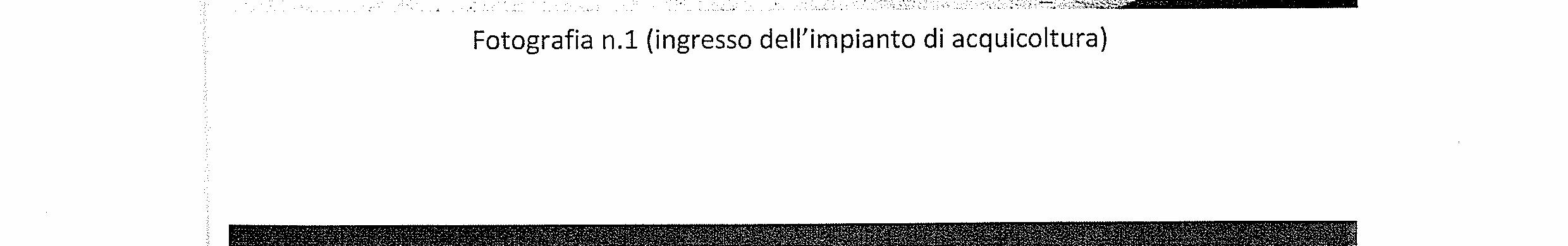 immobile attivita commerciale all'asta in LOCALITA' IS PRUINIS - 09017 Sant'Antioco (-) - 5