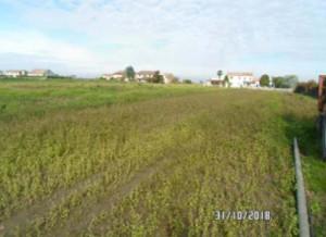 immobile appartamento all'asta in Via Tommaselle, 20 - 45030 Gaiba (RO) - 1