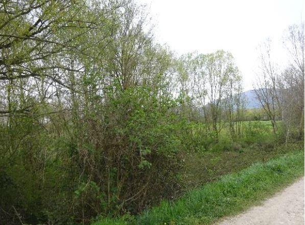 immobile terreno all'asta in loc SCHIETI - 86020 San Polo Matese (CB) - 2