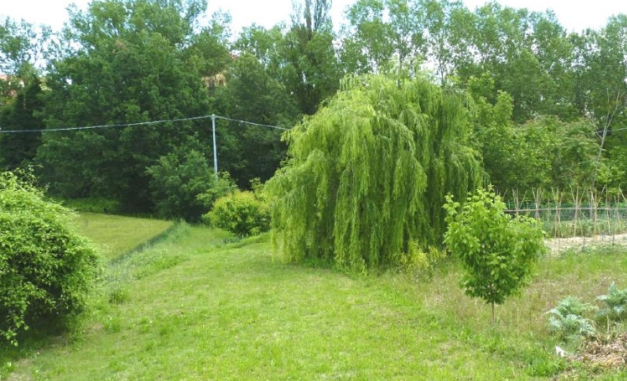 immobile terreno all'asta in via trieste, n snc - 60030 Castelbellino (AN) - 1