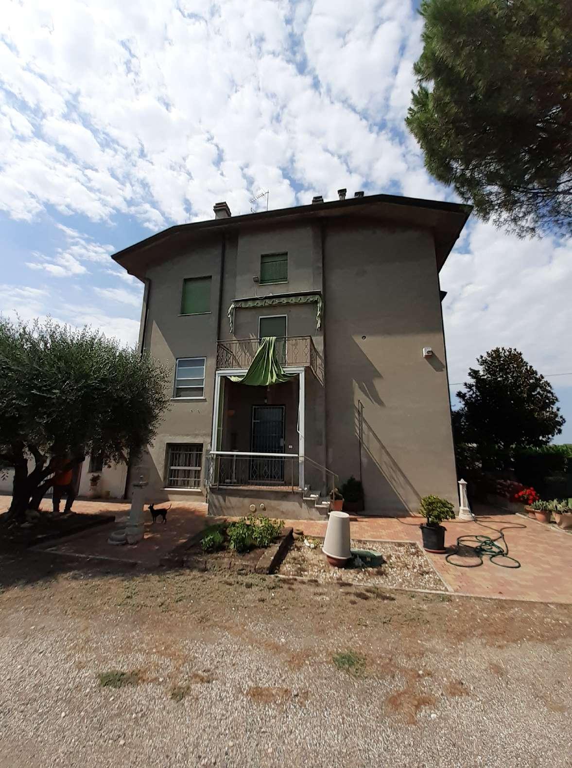 immobile appartamento all'asta in Via delle Antiche Scuole, 753 - 47034 Forlimpopoli (FC) - 3
