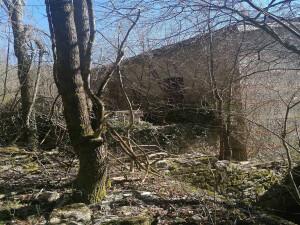 immobile terreno all'asta in Frazione Cargalla, Cargalla Case Sparse - 54027 Pontremoli (MS) - 4