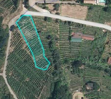 immobile terreno all'asta in Colline del Candia - 54100 Massa (MS) - 1