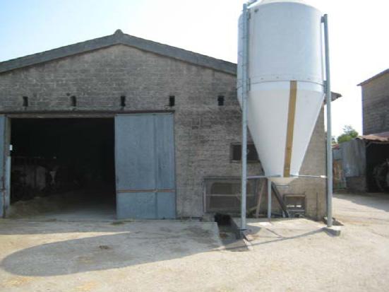 immobile terreno all'asta in strada provinciale Amorosi - 82031 Amorosi (BN) - 1