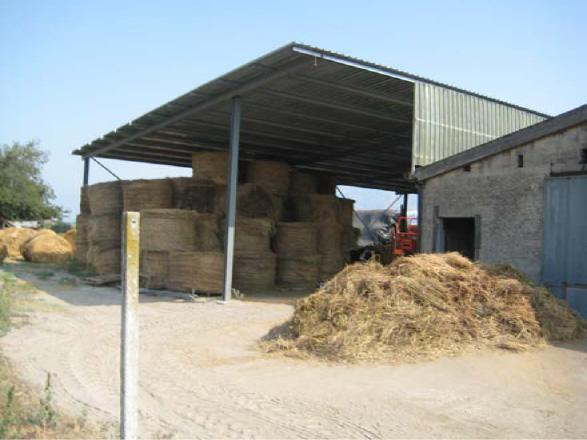 immobile terreno all'asta in strada provinciale Amorosi - 82031 Amorosi (BN) - 3