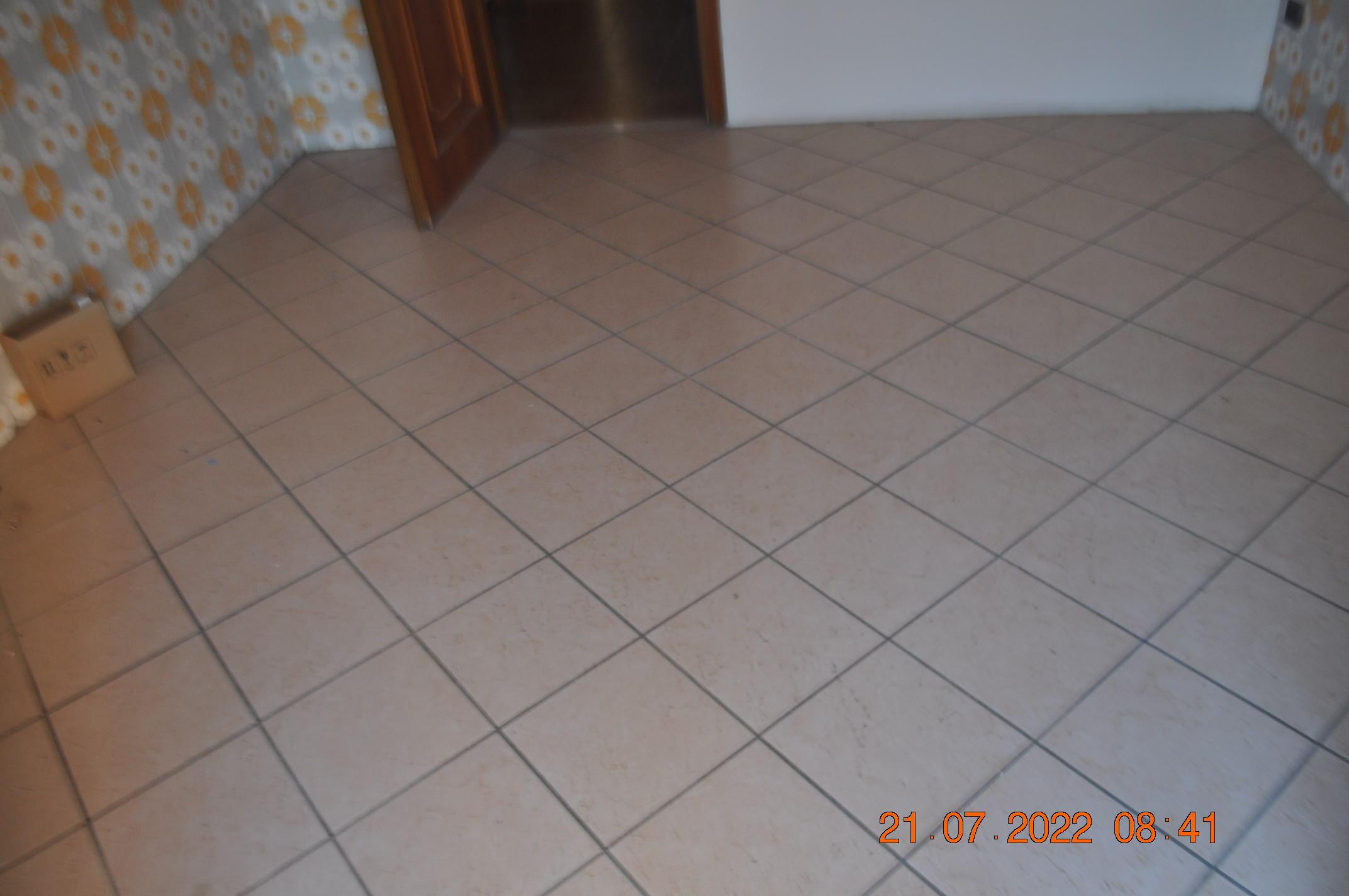 immobile appartamento all'asta in Via A Paltrinieri n 49 - 41038 San Felice sul Panaro (MO) - 1