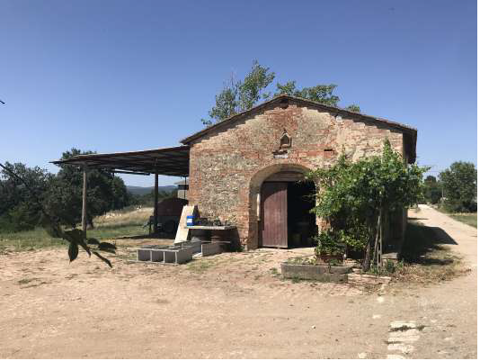 immobile rustico all'asta in Strada delle Chiarne 12 - 53041 Asciano (SI) - 5