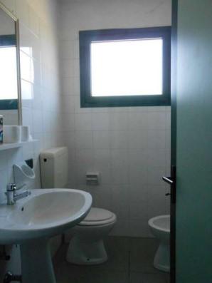 immobile negozio all'asta in Via Borgonovo, 545 - 37043 Castagnaro (VR) - 2
