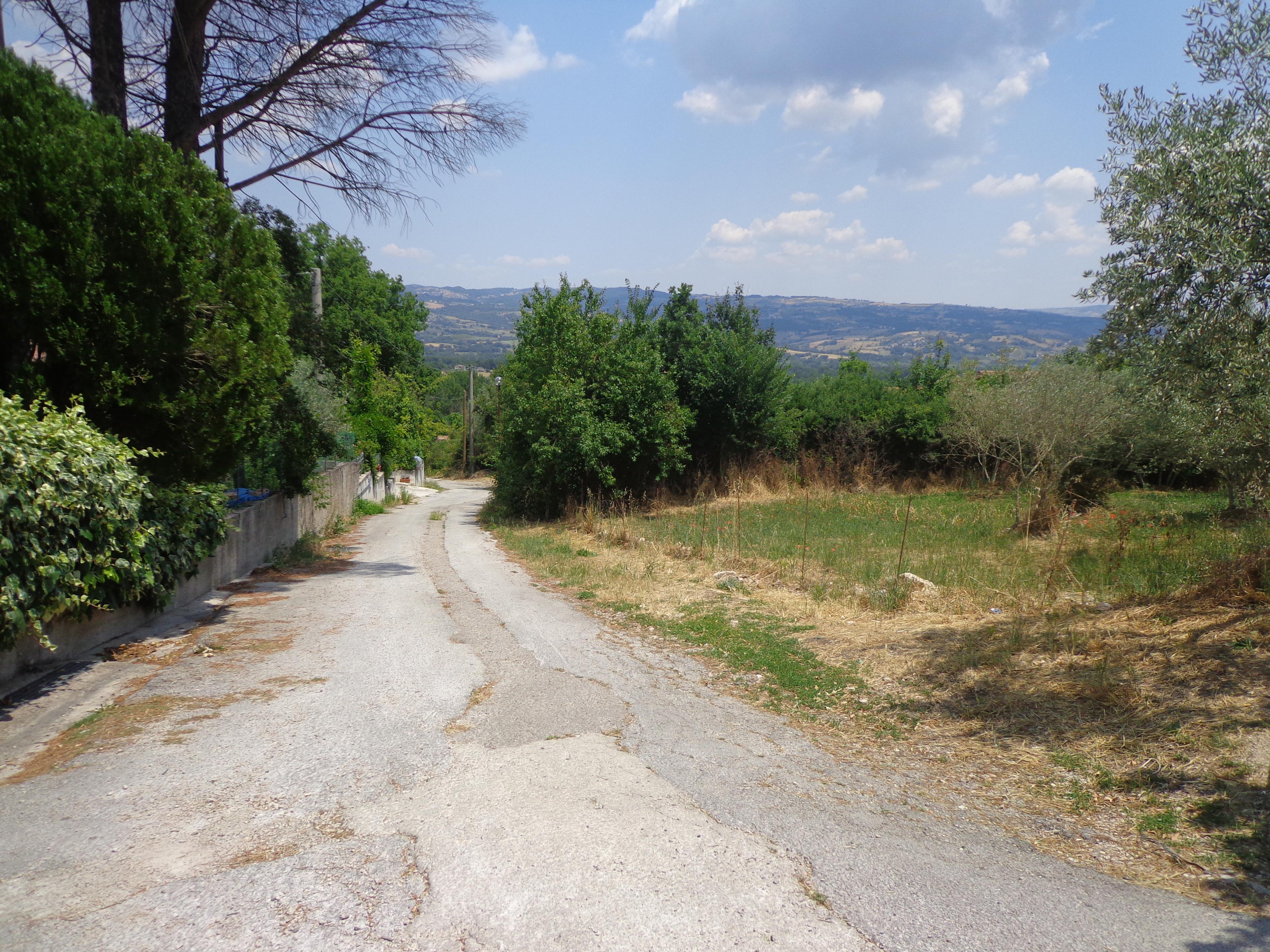 immobile terreno all'asta in Agro di Morcone Morcone (BN) - 1