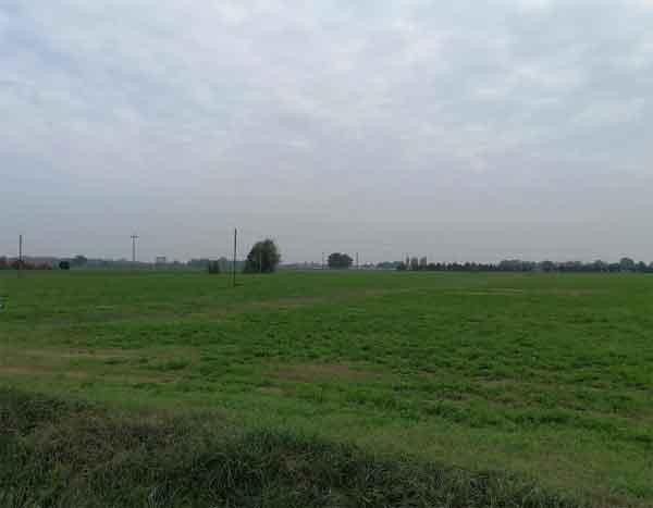 immobile terreno all'asta in Torrile, San Polo - 43056 Torrile (PR) - 5