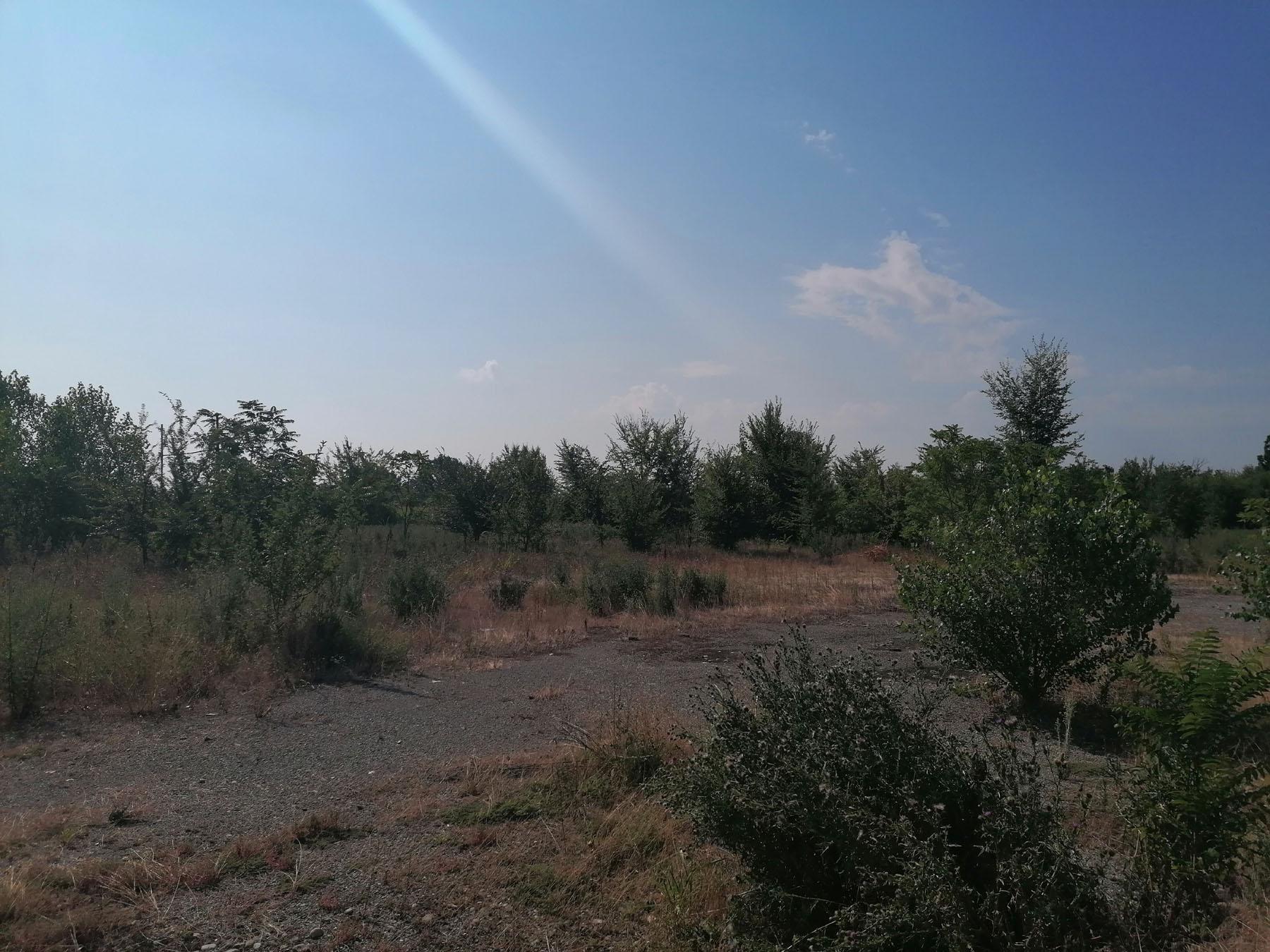 immobile terreno all'asta in Noceto, Via Nazionale Emilia, 25 - 43015 Noceto (PR) - 3