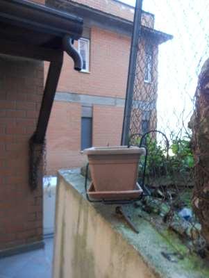 immobile appartamento all'asta in Via Arringo snc - 04010 Sonnino (LT) - 3