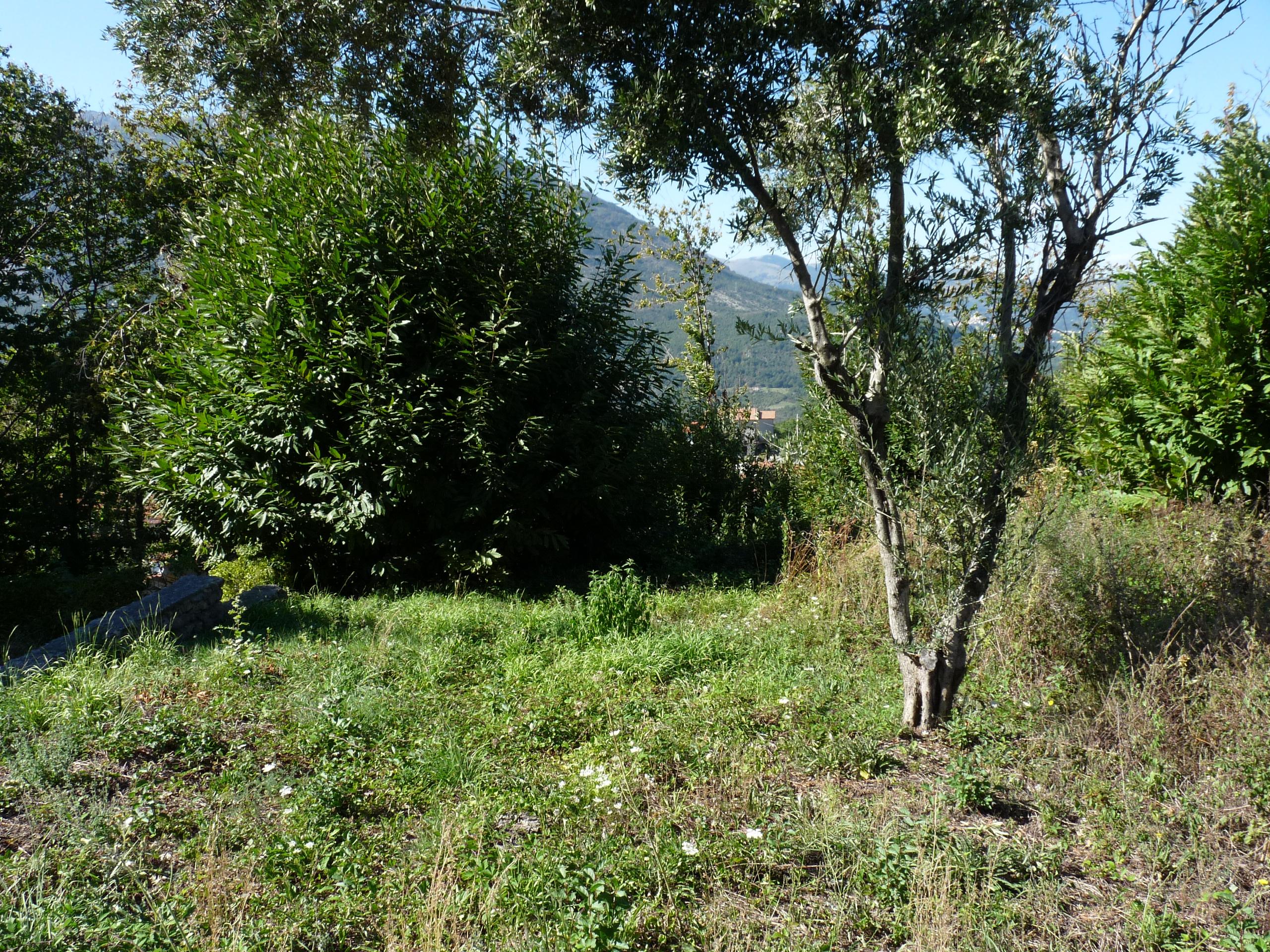 immobile terreno all'asta in contrada S Elena - 85049 Trecchina (PZ) - 1