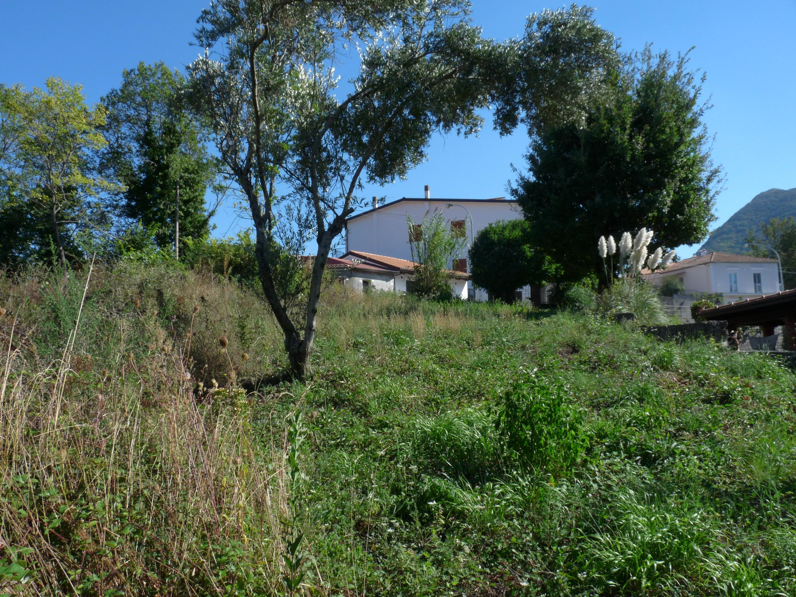 immobile terreno all'asta in contrada S Elena - 85049 Trecchina (PZ) - 3