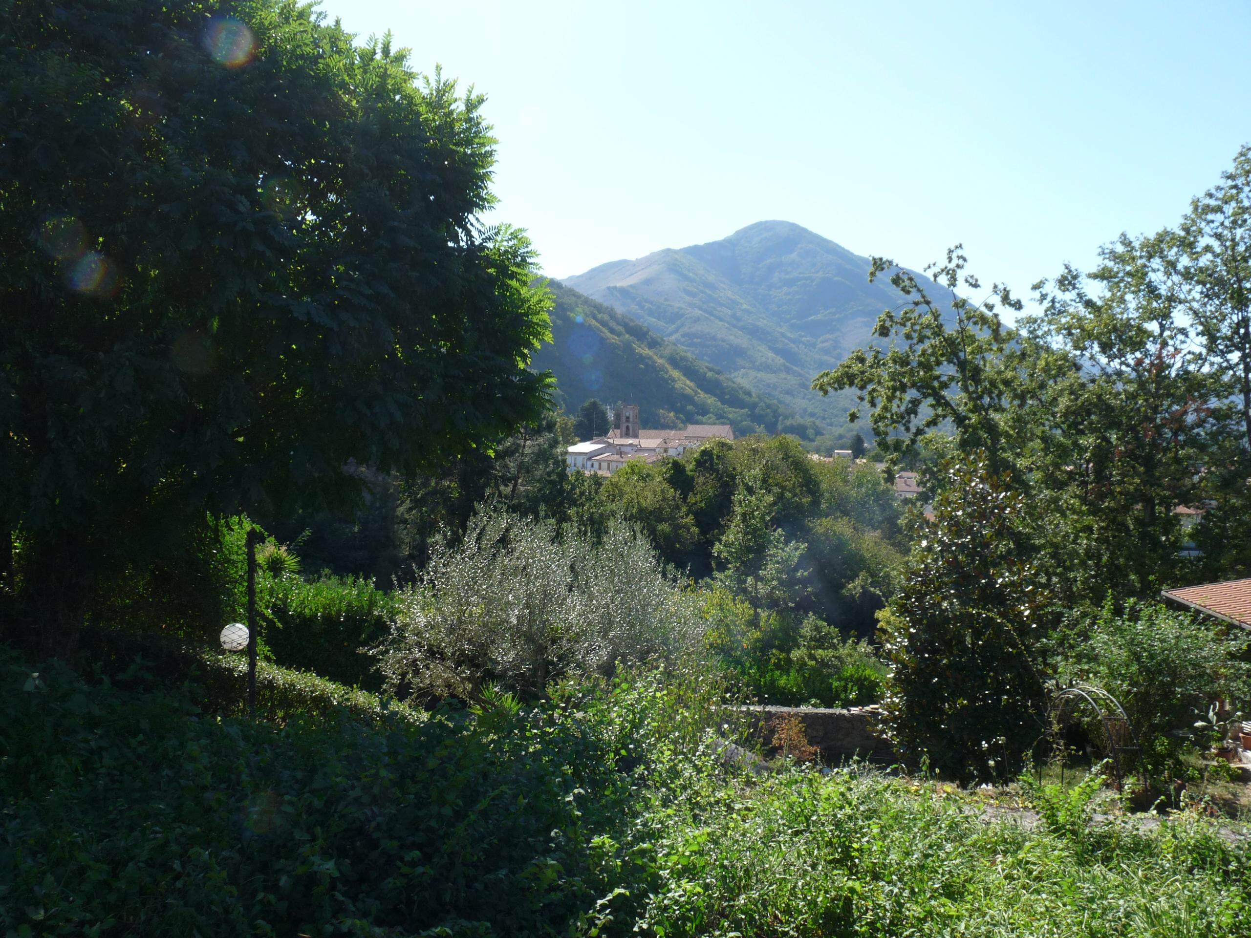 immobile terreno all'asta in contrada S Elena - 85049 Trecchina (PZ) - 2