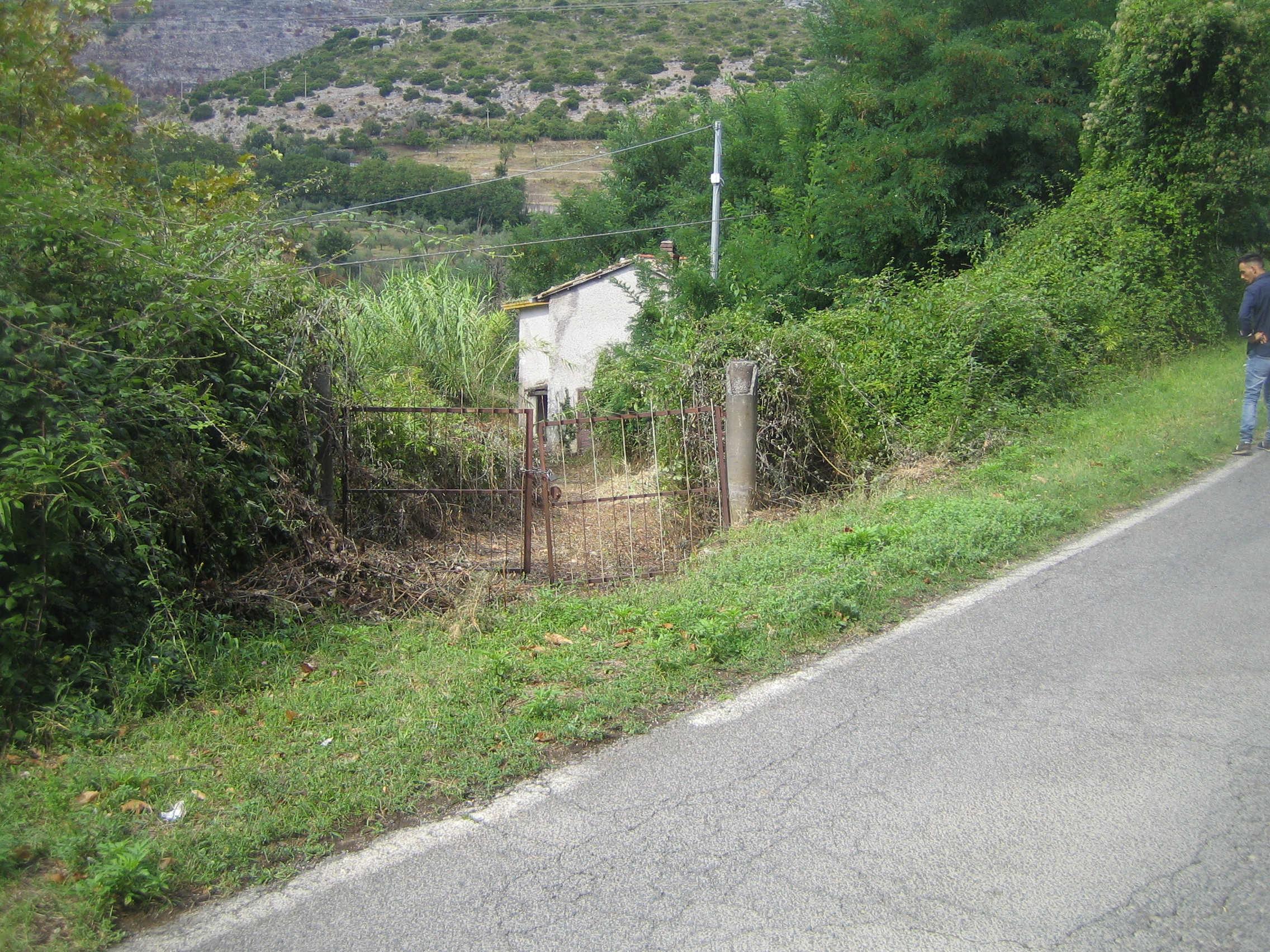 immobile rustico all'asta in Strada 609  - Carpinetana - contrada acqua mora - 04010 Maenza (LT) - 1