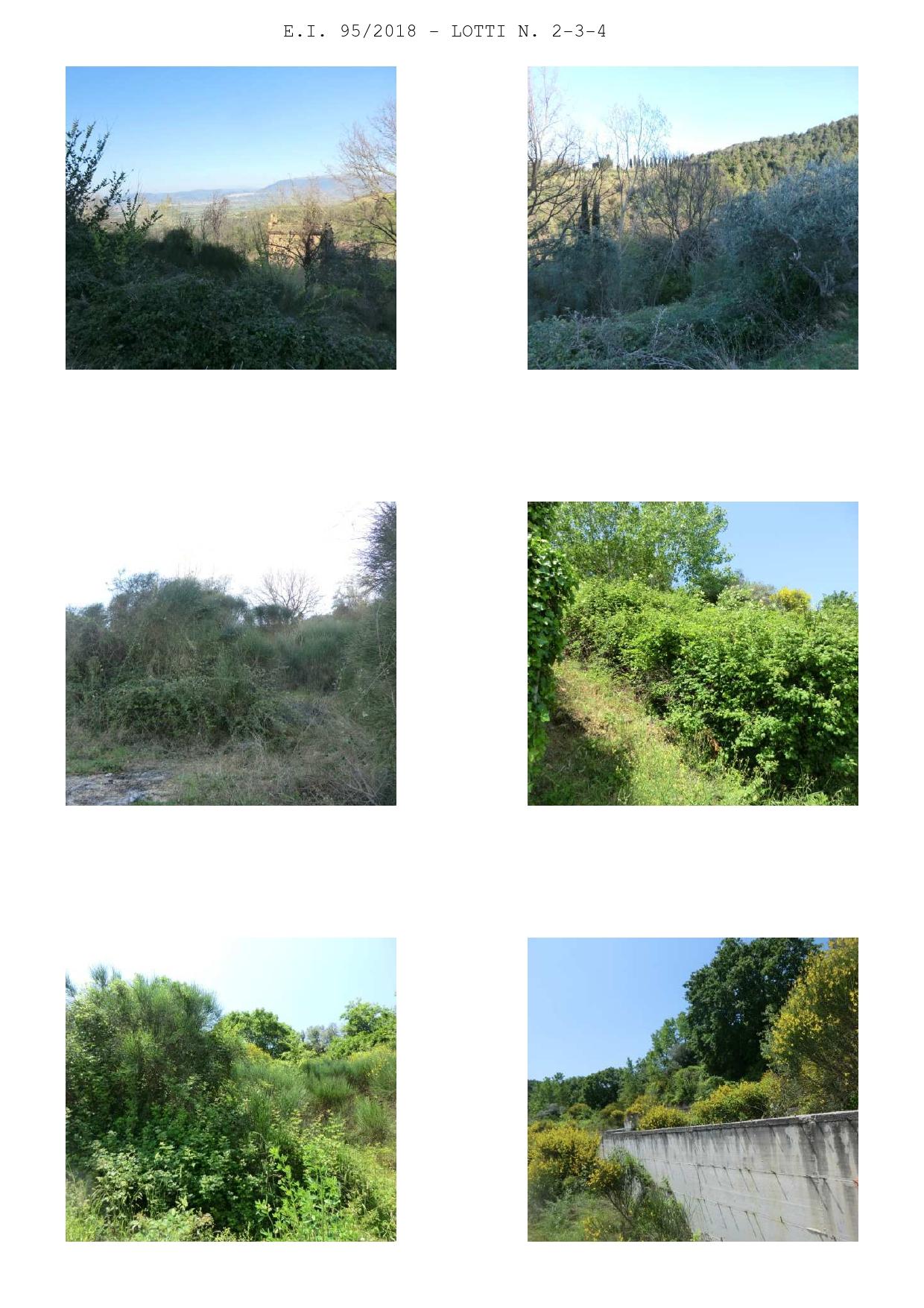 immobile terreno all'asta in Vocabolo Malandruge snc - 06084 Bettona (PG) - 1