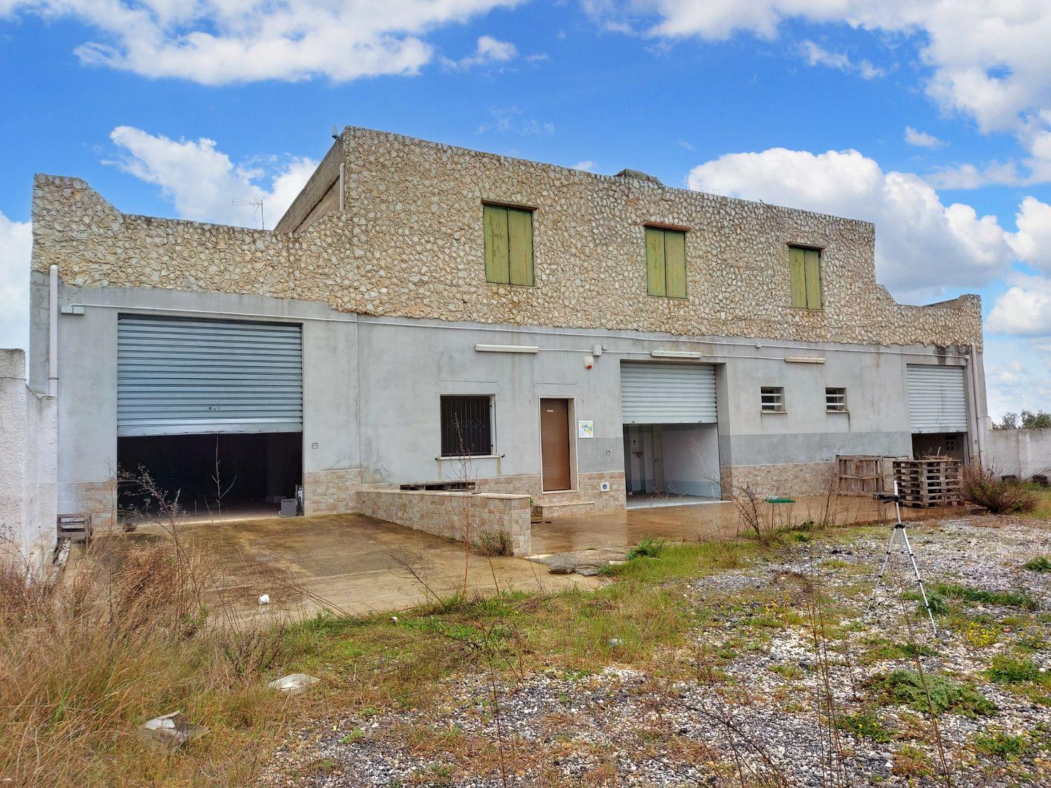 immobile magazzino all'asta in via malerba, n 2 - 91020 Mazara del Vallo (TP) - 1