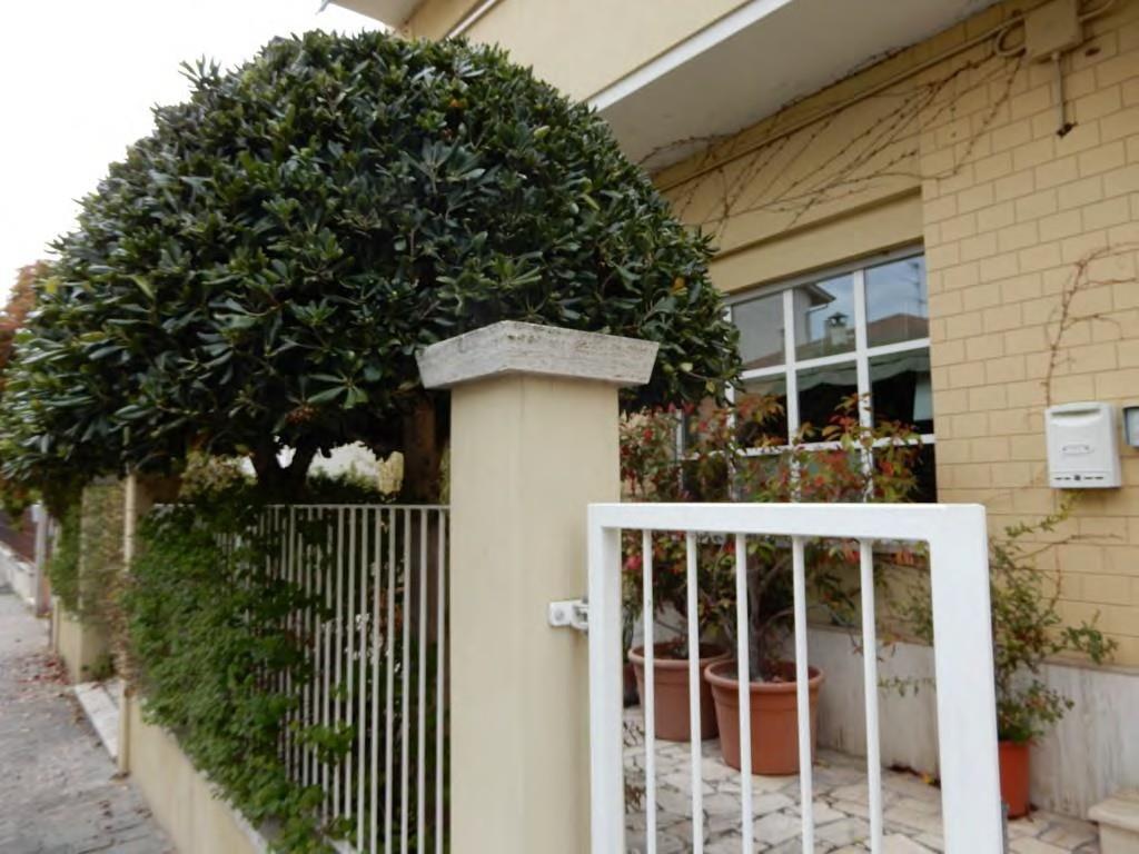 immobile appartamento all'asta in VIA CORVA N81 - 63821 Porto Sant'Elpidio (FM) - 4