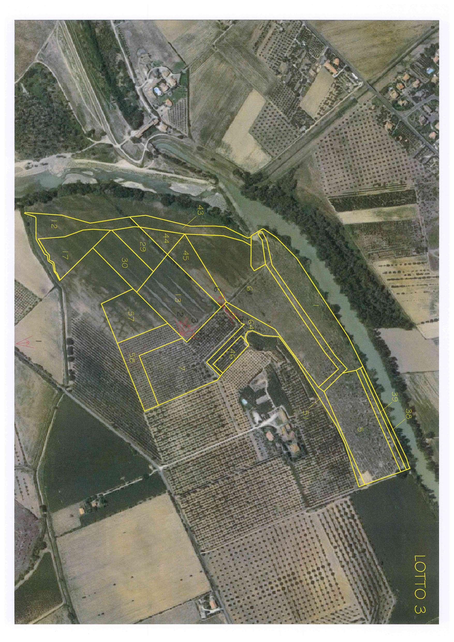 immobile terreno all'asta in Localita' Poggio Cavallo snc - 58100 Grosseto (GR) - 2