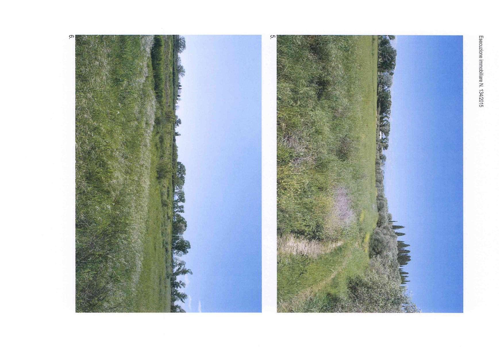 immobile terreno all'asta in Localita' Poggio Cavallo snc - 58100 Grosseto (GR) - 5
