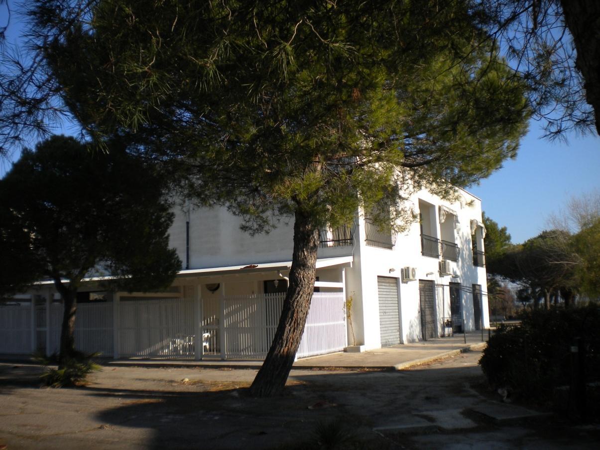 immobile attivita commerciale all'asta in Villaggio Turistico “Foggiamare” in Zapponeta - 71030 Zapponeta (FG) - 4