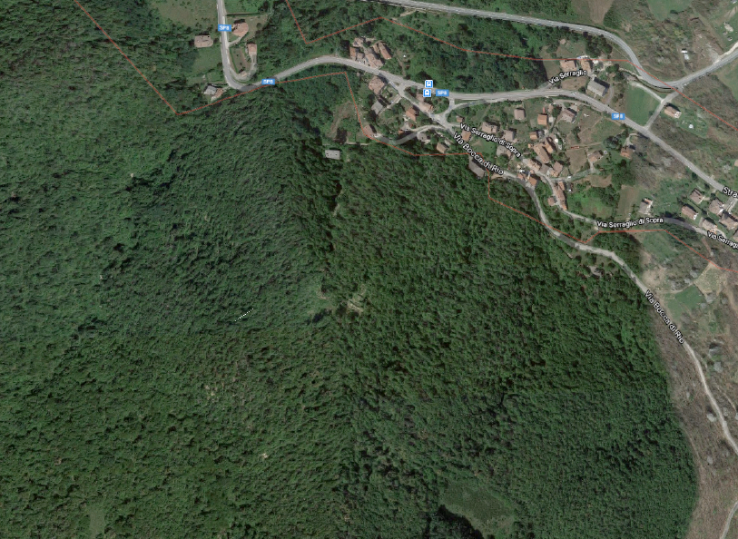 immobile terreno all'asta in Frazione Baragazza Castiglione dei Pepoli (BO) - 1