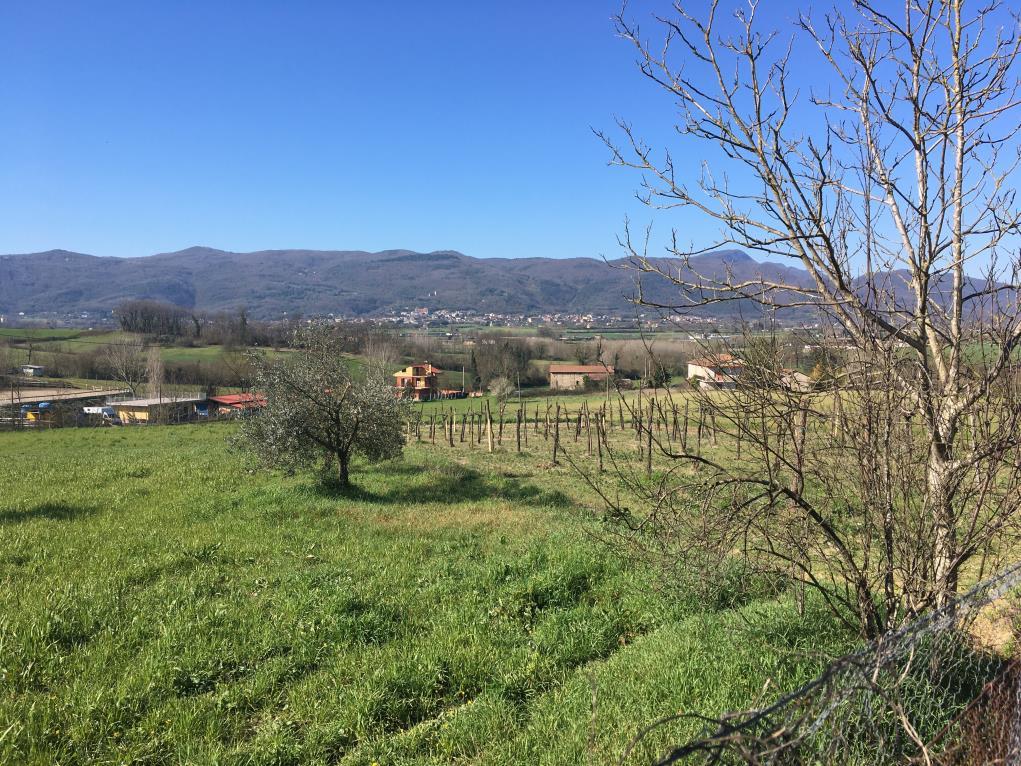 immobile COMPENDIO IMMOBILIARE ALL'ASTA IN VIA CASA LORENZO, ALVIGNANO (CE) - 2