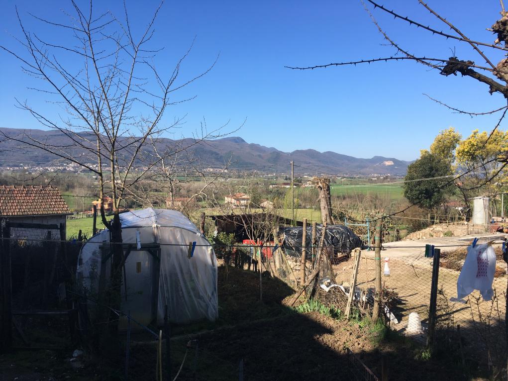 immobile COMPENDIO IMMOBILIARE ALL'ASTA IN VIA CASA LORENZO, ALVIGNANO (CE) - 3