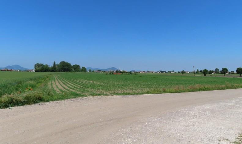 immobile terreno all'asta in Via Savellon, snc - 35040 Granze (PD) - 1